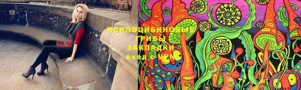 мескалин Инта
