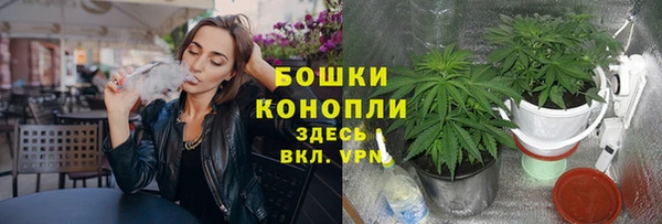 мескалин Инта